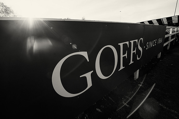 Goffs Orby14 CF8 206 bw