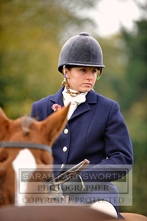 Brocklesby 021113 CF3 390