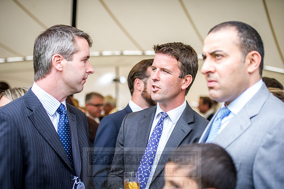 Goffs London Sale 2016-302