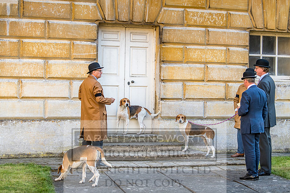 Baron Von Pfetten Puppy Show 02.09.18-120