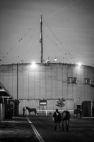 Goffs Orby 2015 -12 bw