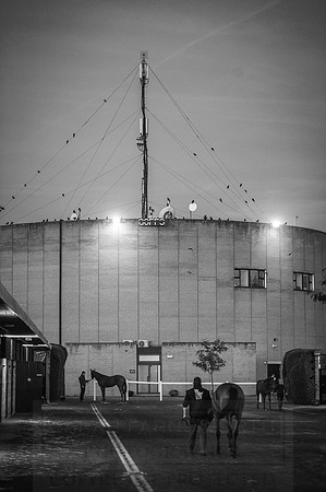 Goffs Orby 2015 -12 bw