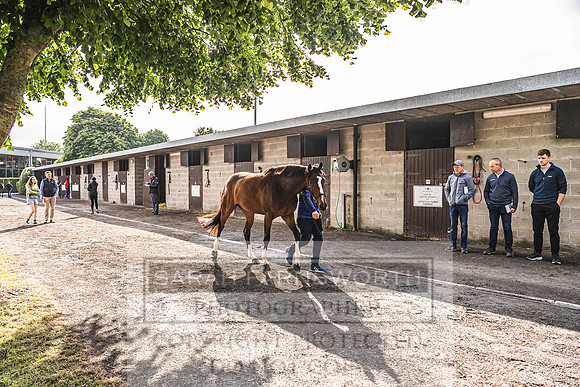 Goffs Land Rover Sale 2022-110