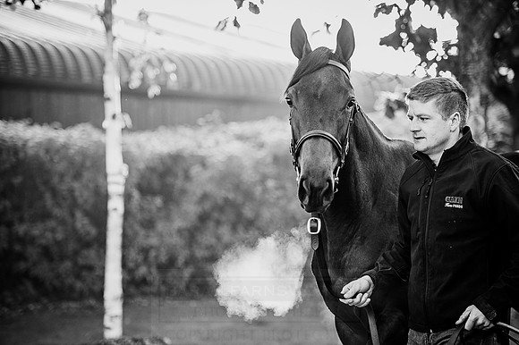 Goffs Orby 2015 -153 bw