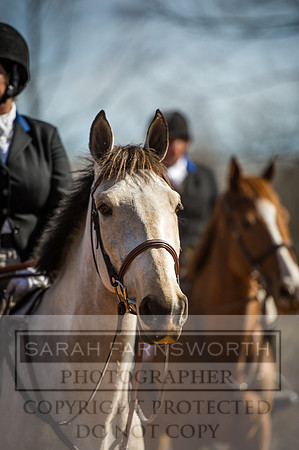 Mooreland Hunt-119