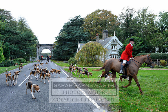 Brocklesby 021113 CF2 199
