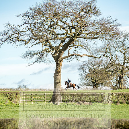 Wynnstay Hunt Ride 2019-11