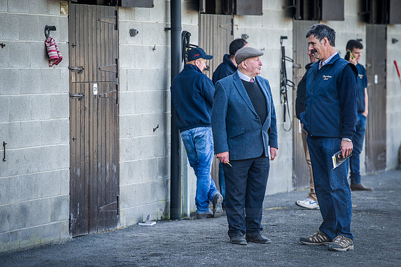 Goffs Orby 2015 -265