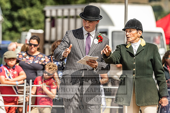Honiton Hound Show 2022-99