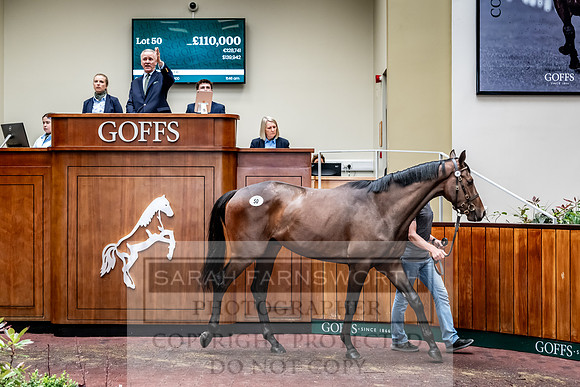 Goffs UK Spring Sale 2024-118