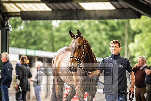 Goffs Land Rover Sale 2022-426