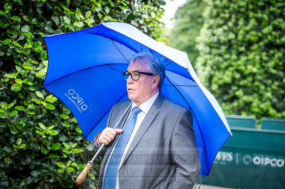 Goffs London Sale 2016-256