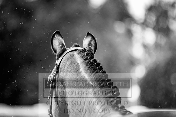Goffs Land Rover Sale 2022-574