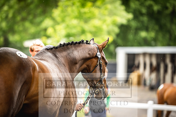 Goffs Land Rover Sale 2022-413