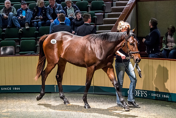 Goffs Orby 2018 Day 1-294