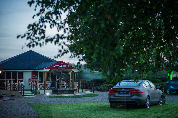Goffs Orby 2015 -49