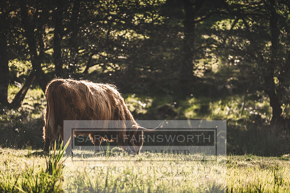 Scotland October 2019-9
