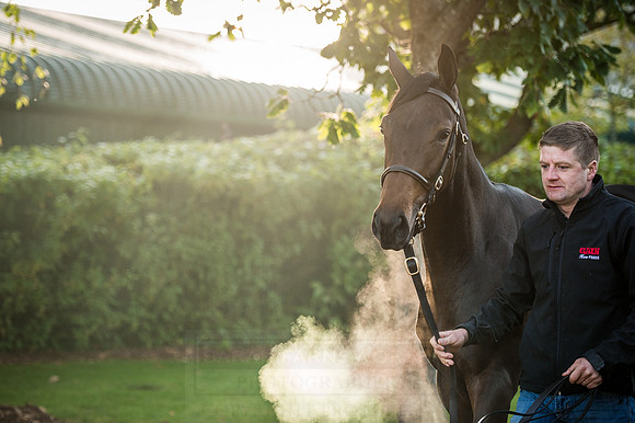 Goffs Orby 2015 -149
