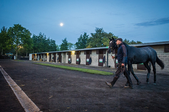 Goffs Orby 2015 -37