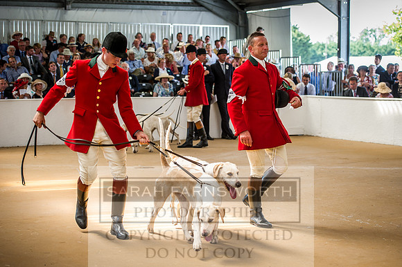 PFoH 2016-570