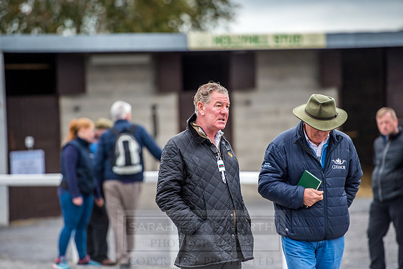 Goffs Orby 2018 Day 2-128