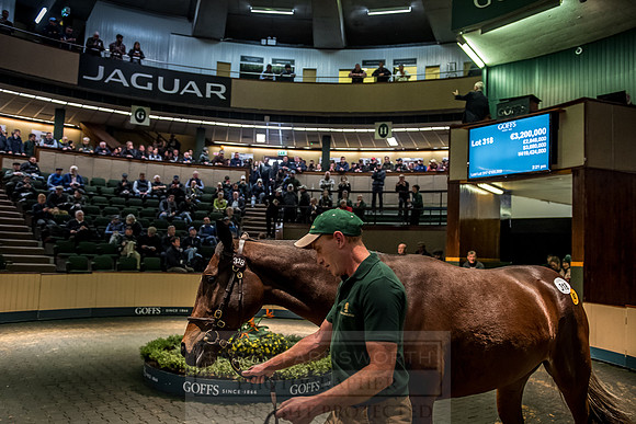 Goffs Orby 2018 Day 2-181