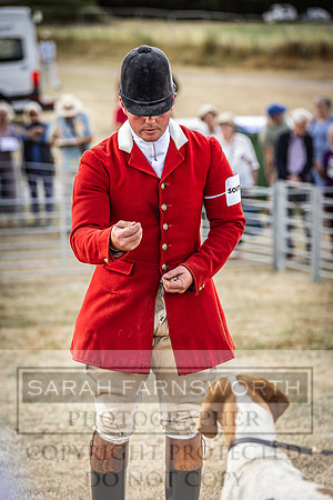 Honiton Hound Show 2022-17