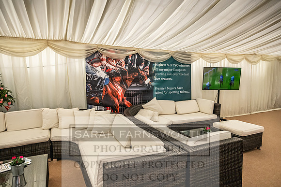 Goffs UK PY24-300