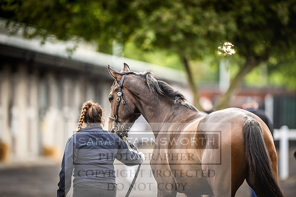 Goffs Land Rover Sale 2022-515