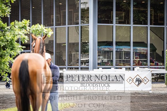 Goffs Land Rover Sale 2022-62