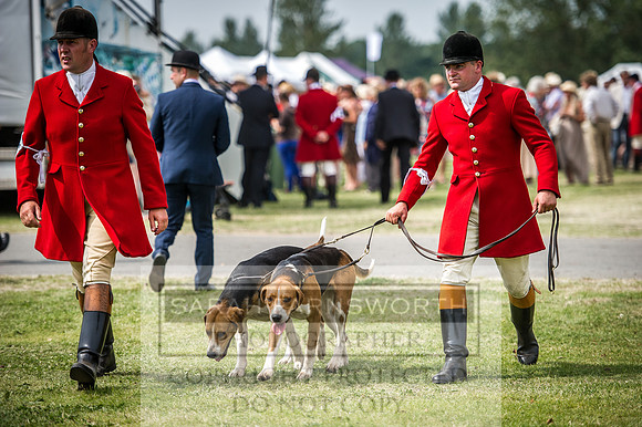 PFoH 2016-217