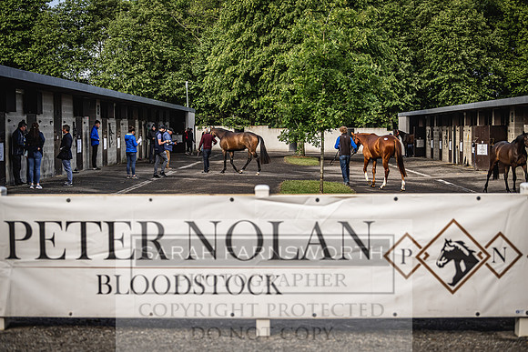 Goffs Land Rover Sale 2022-1