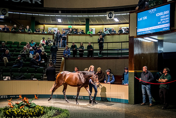 Goffs Orby 2018 Day 1-318