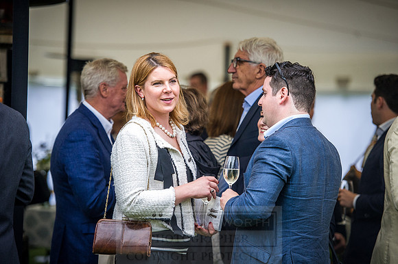 Goffs London Sale 2016-305