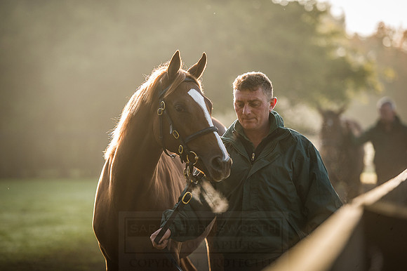 Goffs Orby 2015 -484