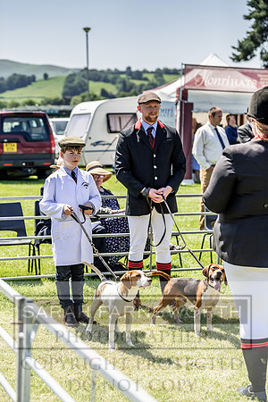 Builth Hound Show 2019-105