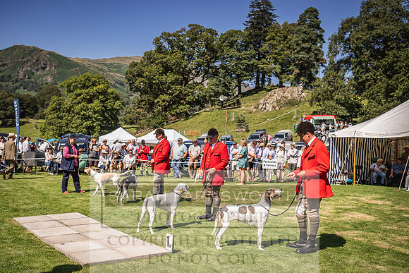 Rydal Hound Show 2022-108
