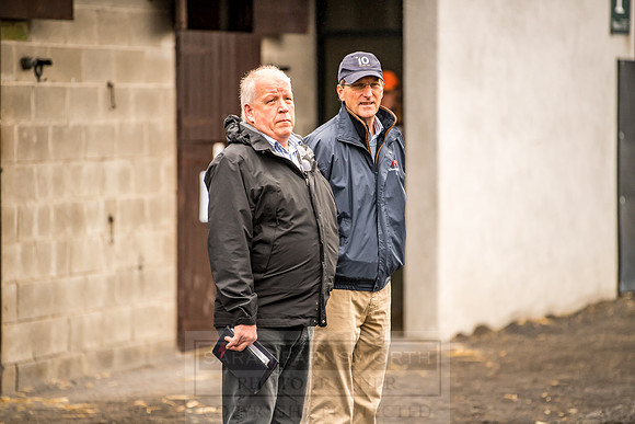 Goffs Orby 2018 Day 1-33