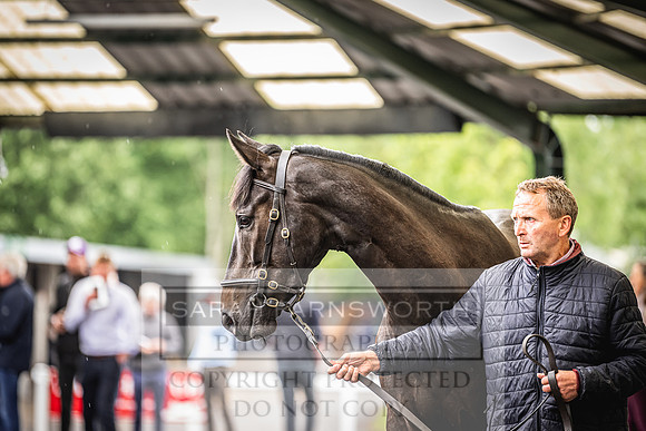 Goffs Land Rover Sale 2022-424