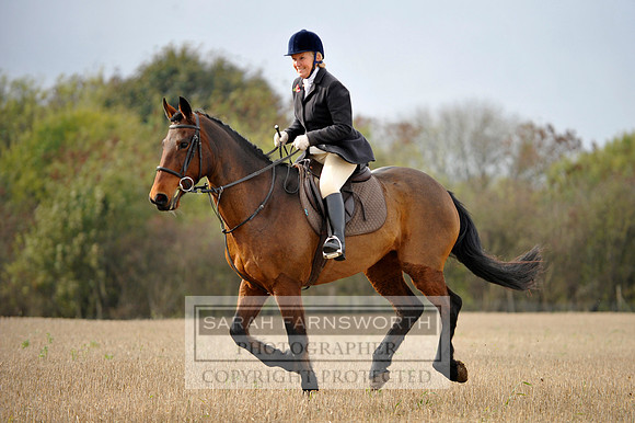 Brocklesby 021113 CF3 803
