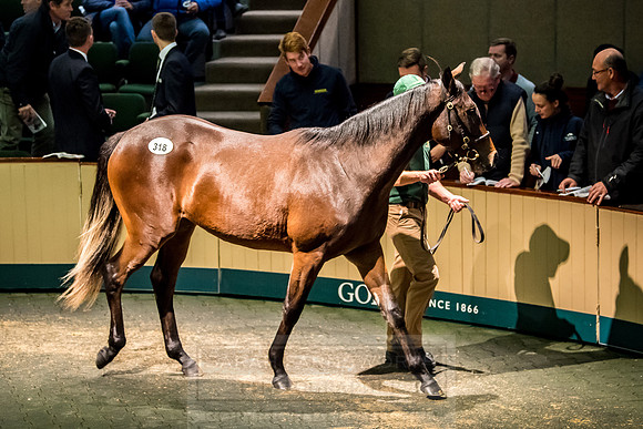 Goffs Orby 2018 Day 2-187