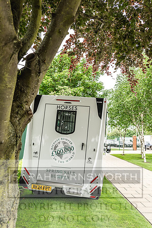 Goffs UK Spring Sale 2024-112