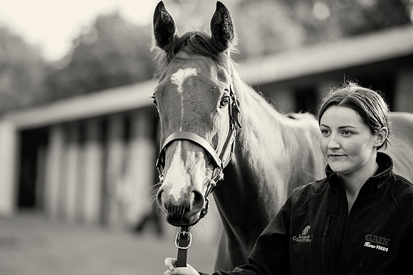 Goffs Orby14 CF1 437 bw