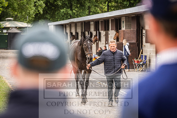 Goffs Land Rover Sale 2022-437