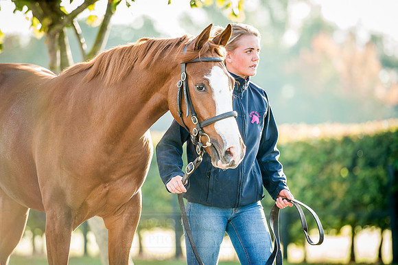 Goffs Orby 2015 -186