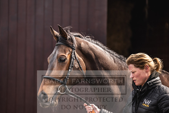 Goffs UK Spring Sale 2024-165