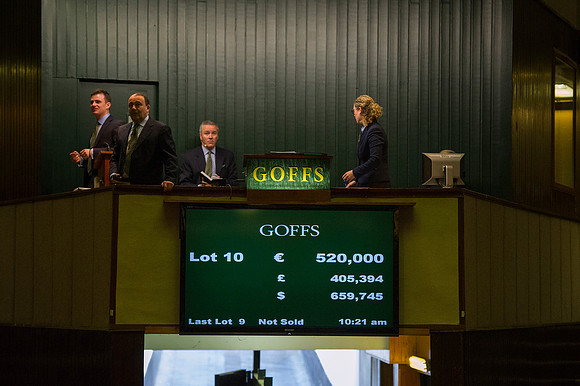 Goffs Orby14 CF2 058