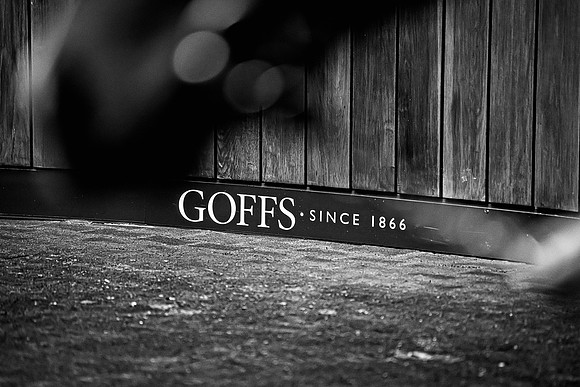 Goffs UK Breeze Up 2022-210