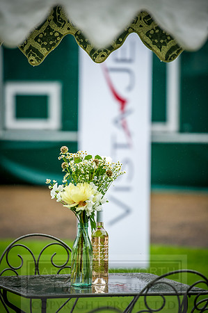 Goffs London Sale 2016-33