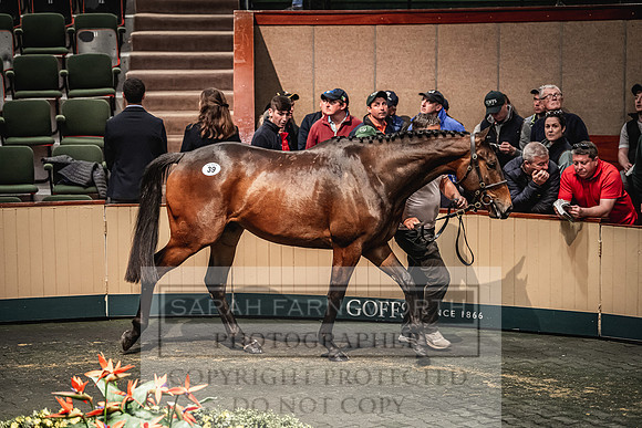 Goffs Land Rover Sale 2022-219